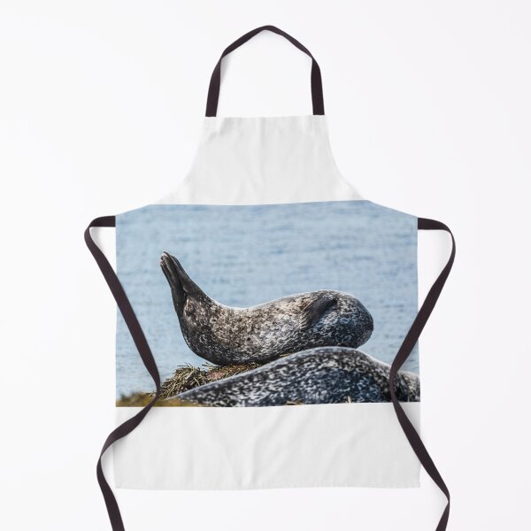 Item preview, Seal in Iceland designed and sold by XaviFotografia.