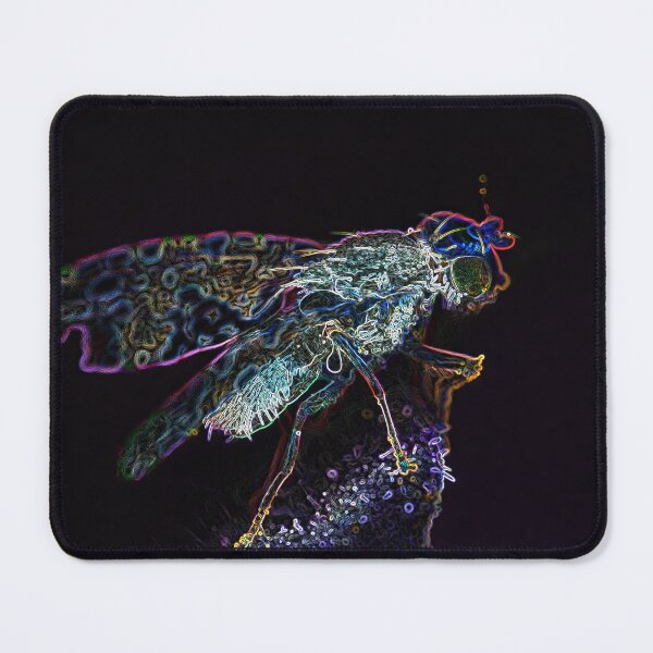 Item preview, Neon Fly Resting on Leaf designed and sold by tonivainio.