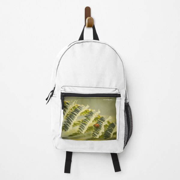 Item preview, A very long way to the top designed and sold by Stwayne.