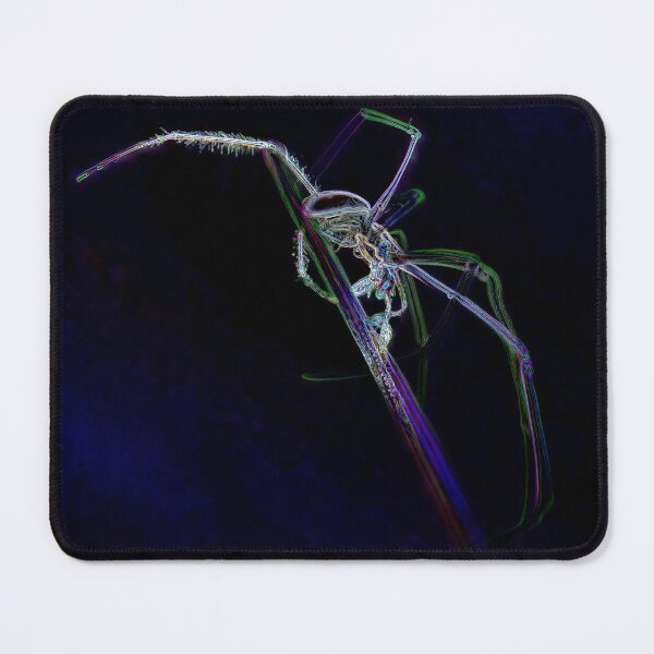 Item preview, Neon Spider on Grass Stem designed and sold by tonivainio.