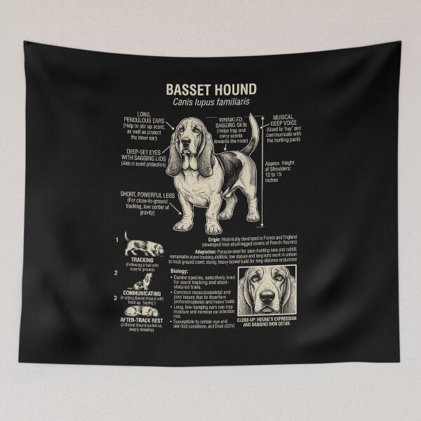 Item preview, Basset Hound Scientific Anatomy Biology Dog Lover designed and sold by Kimberley King Art  King Art.