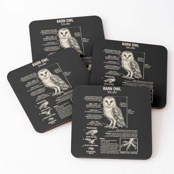 Item preview, Barn Owl Scientific Anatomy Ornithology Animal Lover designed and sold by Kimberley King Art  King Art.