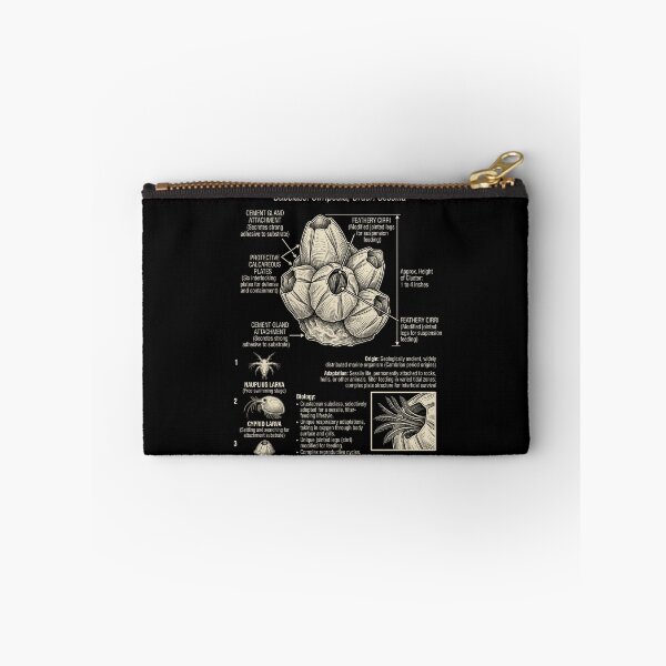 Item preview, Barnacle Scientific Anatomy Biology Animal Lover designed and sold by Kimberley King Art  King Art.