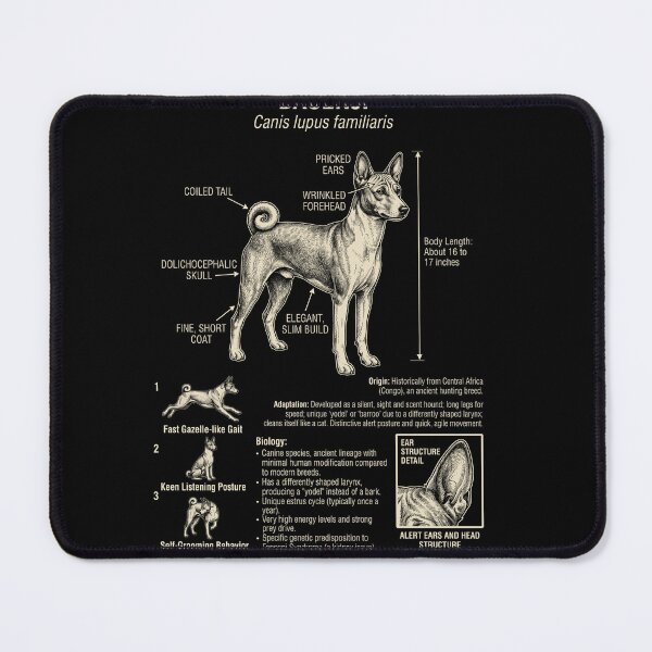 Item preview, Basenji Scientific Anatomy Biology Dog Lover designed and sold by Kimberley King Art King Art.