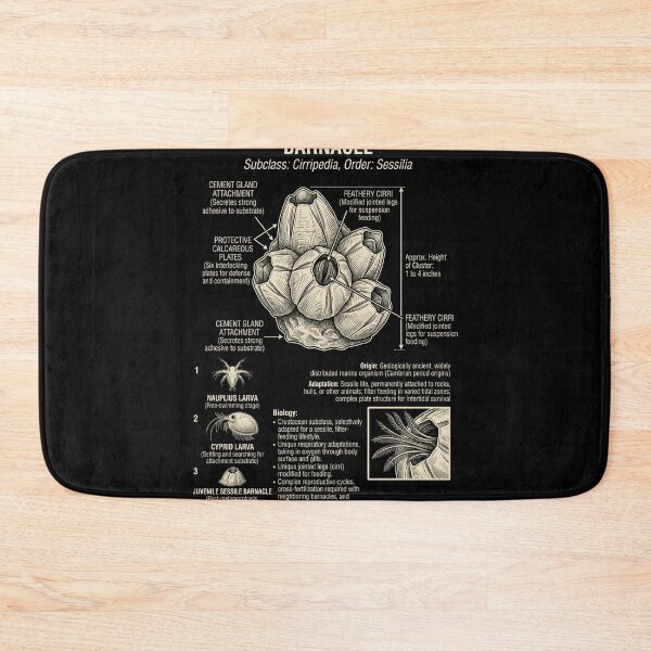 Item preview, Barnacle Scientific Anatomy Biology Animal Lover designed and sold by Kimberley King Art  King Art.