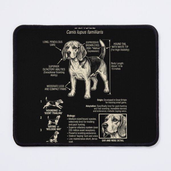Item preview, Beagle Scientific Anatomy Biology Dog Lover designed and sold by Kimberley King Art King Art.