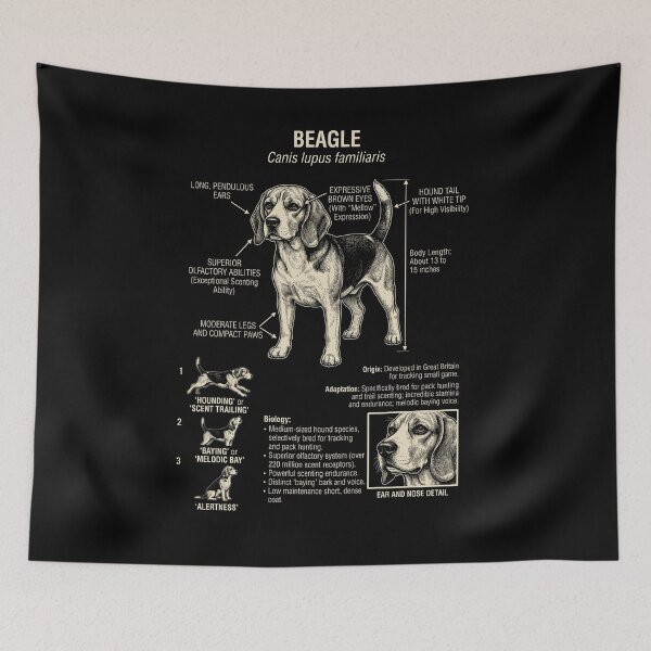 Item preview, Beagle Scientific Anatomy Biology Dog Lover designed and sold by Kimberley King Art  King Art.