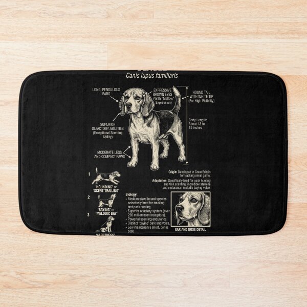 Item preview, Beagle Scientific Anatomy Biology Dog Lover designed and sold by Kimberley King Art  King Art.