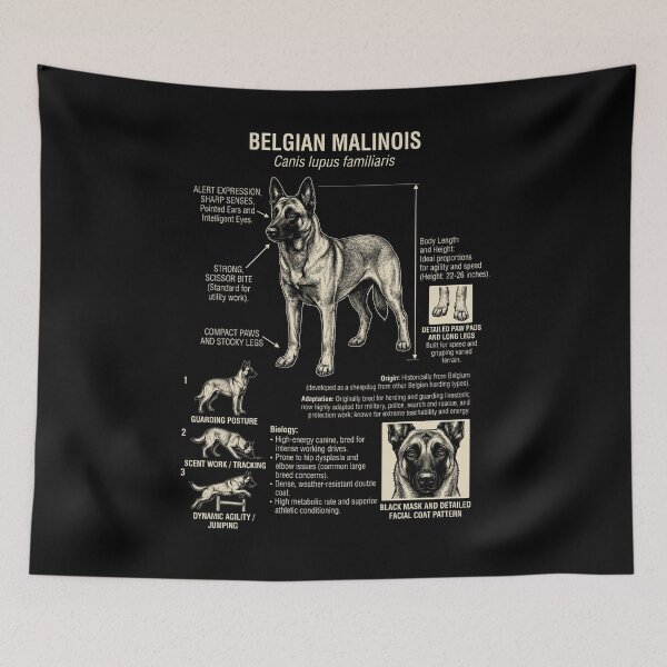 Item preview, Belgian Malinois Scientific Anatomy Biology Dog Lover designed and sold by Kimberley King Art  King Art.
