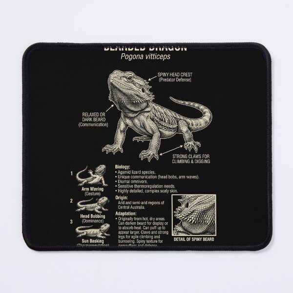 Item preview, Bearded Dragon Scientific Anatomy Biology Animal Lover designed and sold by Kimberley King Art  King Art.
