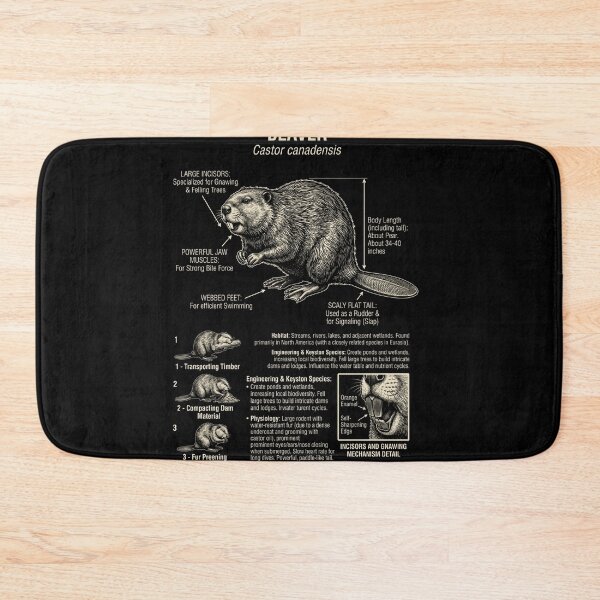 Item preview, Beaver Scientific Anatomy Biology Animal Lover designed and sold by Kimberley King Art  King Art.