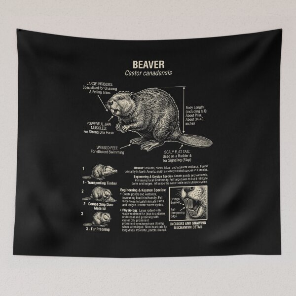 Item preview, Beaver Scientific Anatomy Biology Animal Lover designed and sold by Kimberley King Art  King Art.