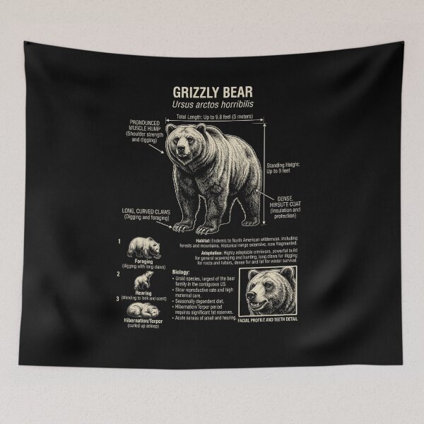 Item preview, Bear Scientific Anatomy Biology Animal Lover designed and sold by Kimberley King Art  King Art.