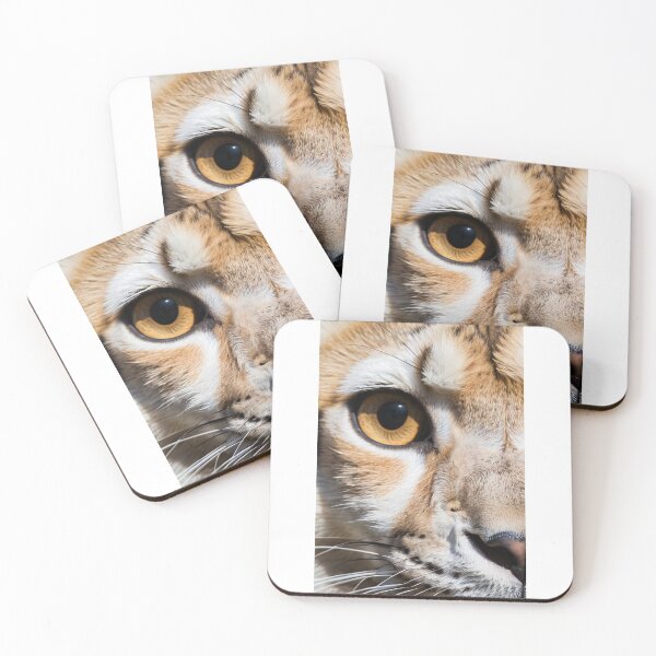 Item preview, Animals - Lynx with Amber Gaze, Hyper-Detailed Portrait designed and sold by DoodyPets.