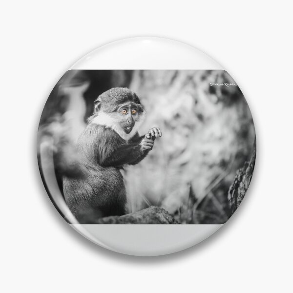 Aperçu de l'œuvre Le singe traumatisé créée et vendue par Stwayne.