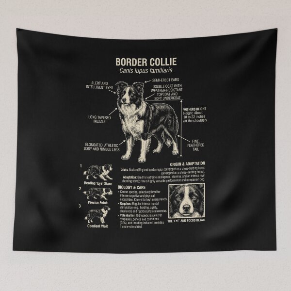 Item preview, Border Collie Scientific Anatomy Biology Dog Lover designed and sold by Kimberley King Art  King Art.