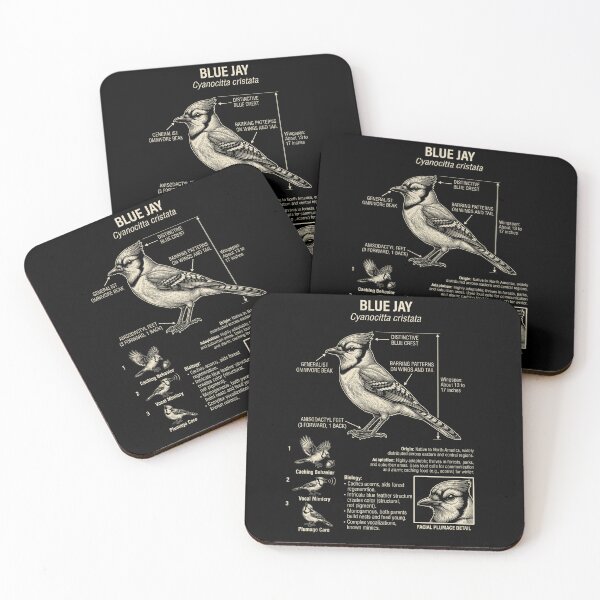 Item preview, Blue Jay Scientific Anatomy Ornithology Animal Lover designed and sold by Kimberley King Art  King Art.