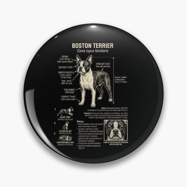 Item preview, Boston Terrier Scientific Anatomy Biology Dog Lover designed and sold by Kimberley King Art  King Art.