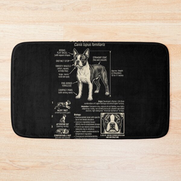 Item preview, Boston Terrier Scientific Anatomy Biology Dog Lover designed and sold by Kimberley King Art  King Art.
