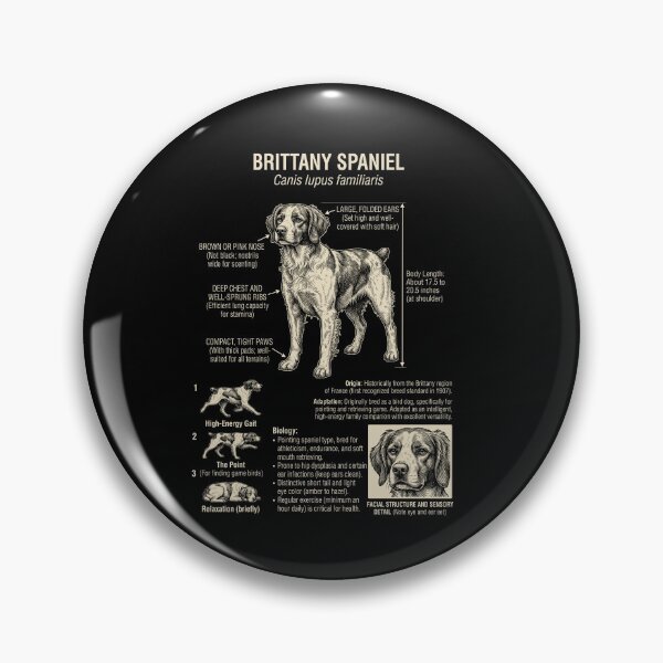 Item preview, Brittany Scientific Anatomy Biology Dog Lover designed and sold by Kimberley King Art  King Art.