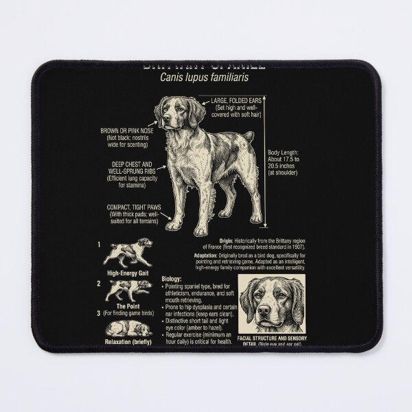 Item preview, Brittany Scientific Anatomy Biology Dog Lover designed and sold by Kimberley King Art  King Art.