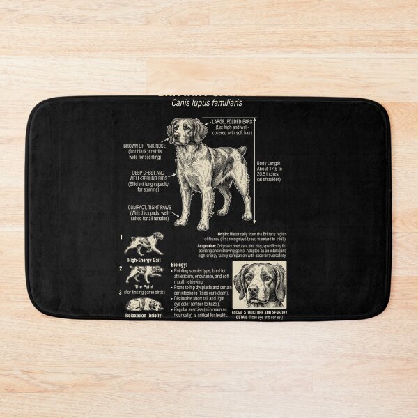 Item preview, Brittany Scientific Anatomy Biology Dog Lover designed and sold by Kimberley King Art  King Art.