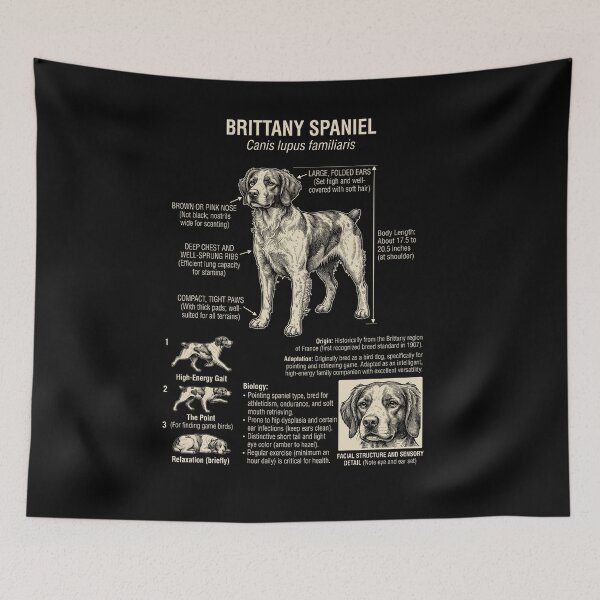 Item preview, Brittany Scientific Anatomy Biology Dog Lover designed and sold by Kimberley King Art  King Art.