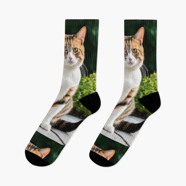 Item preview, Animals - Serene Tabby Cat, Portrait in a Sunny Garden designed and sold by DoodyPets.