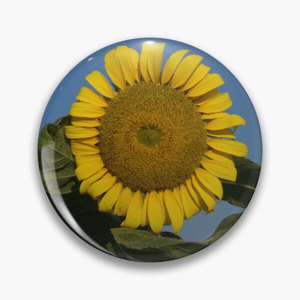 Item preview, "Sunflower in the field" - Photo designed and sold by JerzyCzechon.