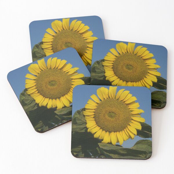 Item preview, "Sunflower in the field" - Photo designed and sold by JerzyCzechon.