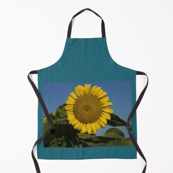 Item preview, "Sunflower in the field" - Photo designed and sold by JerzyCzechon.