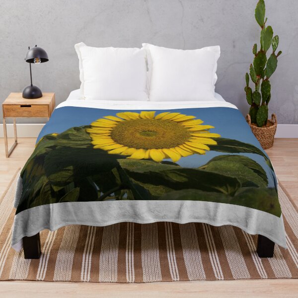 Item preview, "Sunflower in the field" - Photo designed and sold by JerzyCzechon.