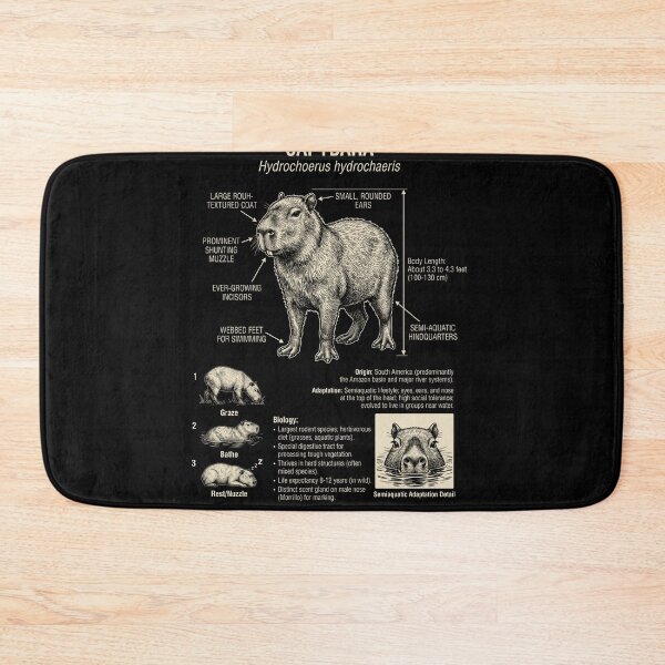 Item preview, Capybara Scientific Anatomy Biology Animal Lover designed and sold by Kimberley King Art  King Art.