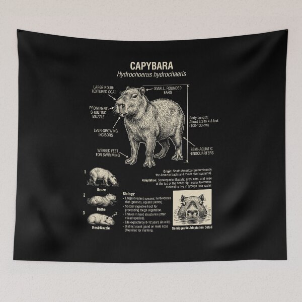 Item preview, Capybara Scientific Anatomy Biology Animal Lover designed and sold by Kimberley King Art  King Art.