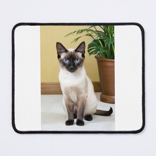 Item preview, Animals - Siamese Cat, Zen Portrait with Intense Blue Eyes designed and sold by DoodyPets.