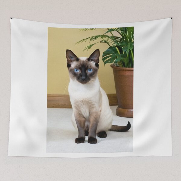 Item preview, Animals - Siamese Cat, Zen Portrait with Intense Blue Eyes designed and sold by DoodyPets.