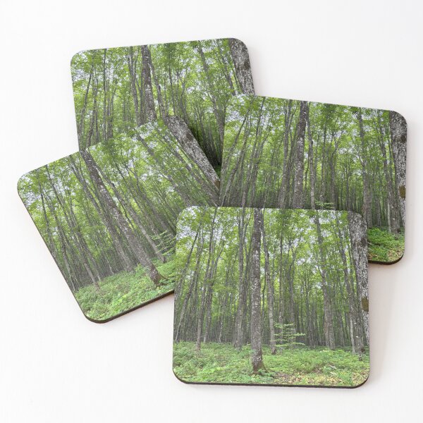 Item preview, Into the woods I go… designed and sold by Ourhappyplaces.