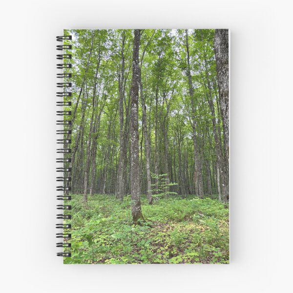 Item preview, Into the woods I go… designed and sold by Ourhappyplaces.