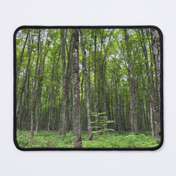Item preview, Into the woods I go… designed and sold by Ourhappyplaces.