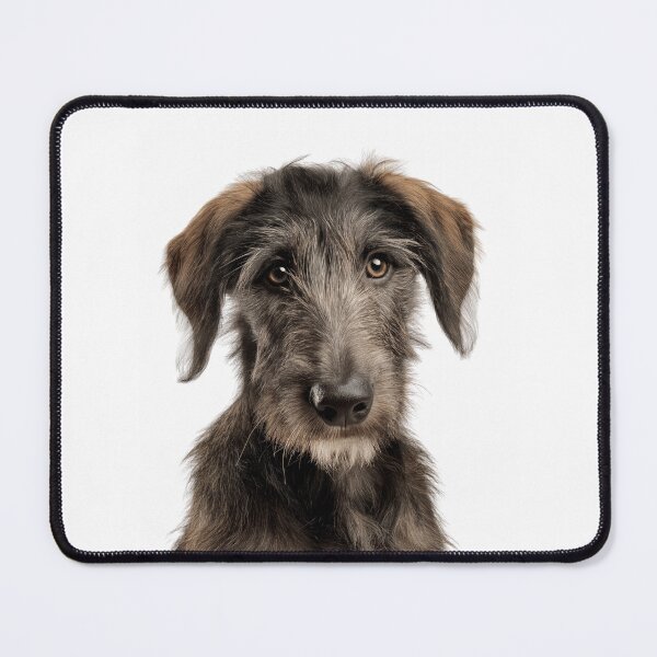 Item preview, Adorable Scottish Deerhound puppy for Cute Deerhound puppy lovers designed and sold by LazyOwlStore.