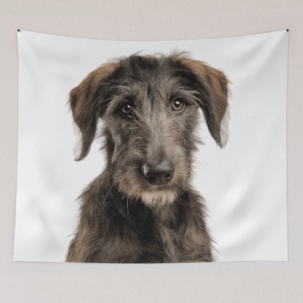 Item preview, Adorable Scottish Deerhound puppy for Cute Deerhound puppy lovers designed and sold by LazyOwlStore.