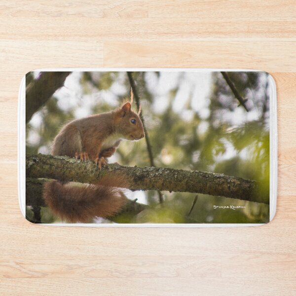 Item preview, The hypnotized squirrel designed and sold by Stwayne.