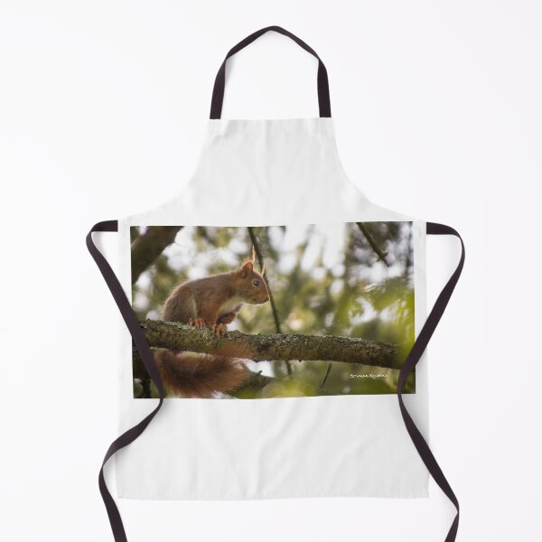 Item preview, The hypnotized squirrel designed and sold by Stwayne.