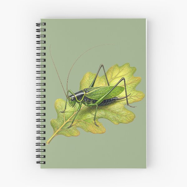 Item preview, Green Katydid Leaf Mimic Design designed and sold by BloomStudio1.