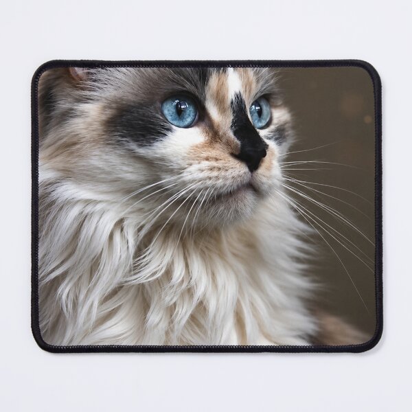 Item preview, Blue-Eyed Dreamer designed and sold by Kimberly Palmer.