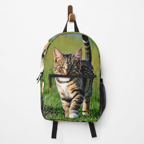 Item preview, Animals - Tabby Cat with a Captivating Gaze, Outdoor Portrait designed and sold by DoodyPets.