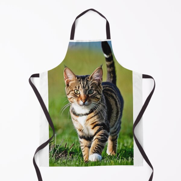 Item preview, Animals - Tabby Cat with a Captivating Gaze, Outdoor Portrait designed and sold by DoodyPets.