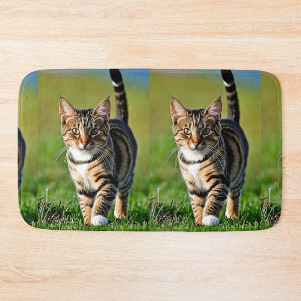 Item preview, Animals - Tabby Cat with a Captivating Gaze, Outdoor Portrait designed and sold by DoodyPets.