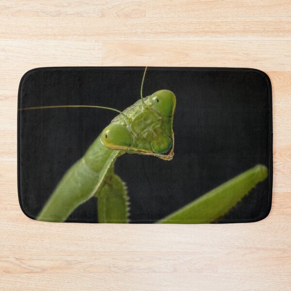 Item preview, Curious Mantis designed and sold by Kimberly Palmer.