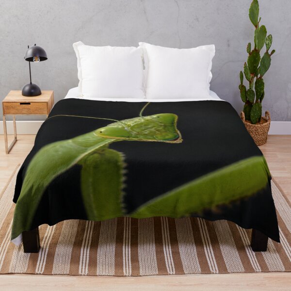 Item preview, Curious Mantis designed and sold by Kimberly Palmer.